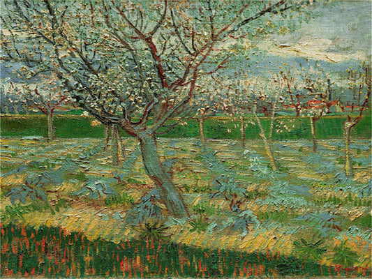 Vincent Willem van Gogh Hand painted Oil Painting Canvas Wall Art For Home Living Room #006