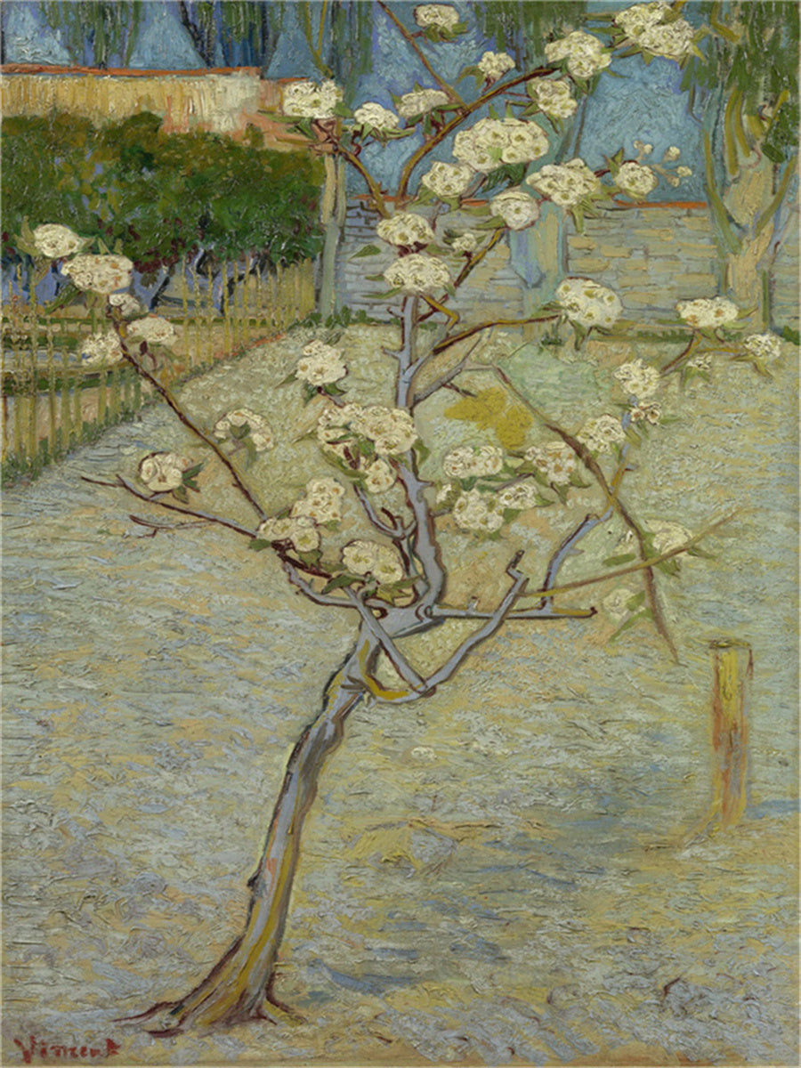 Vincent Willem van Gogh Hand painted Oil Painting Canvas Wall Art For Home Living Room #186
