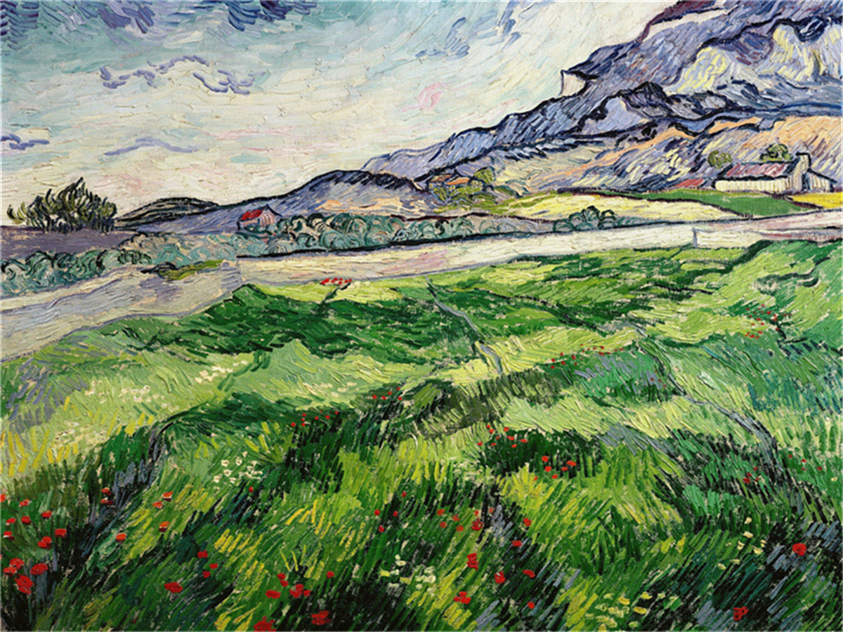 Vincent Willem van Gogh Hand painted Oil Painting Canvas Wall Art For Home Living Room #040