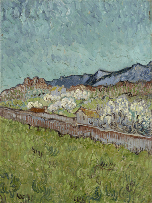 Vincent Willem van Gogh Hand painted Oil Painting Canvas Wall Art For Home Living Room #226