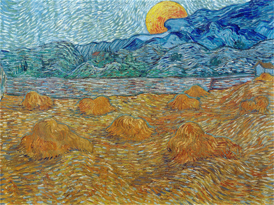 Vincent Willem van Gogh Hand painted Oil Painting Canvas Wall Art For Home Living Room #023