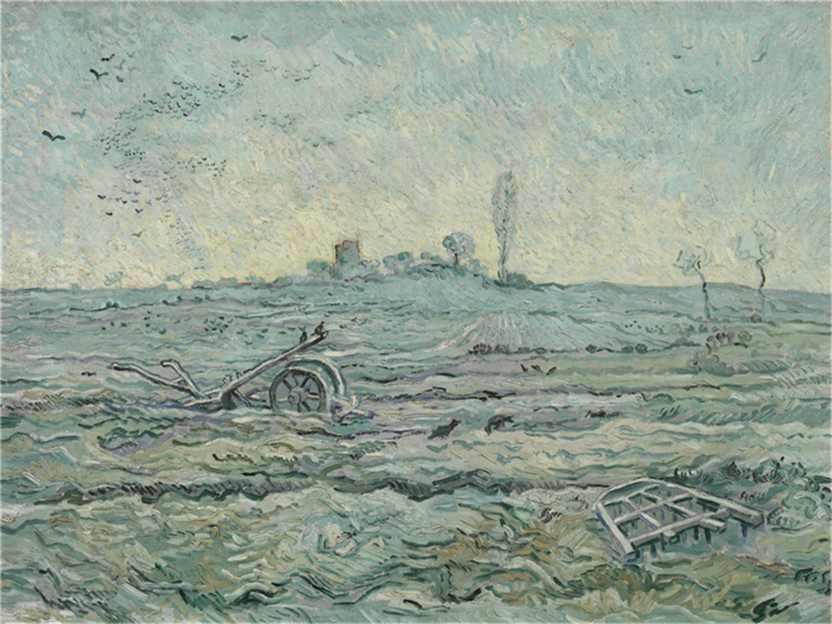 Vincent Willem van Gogh Hand painted Oil Painting Canvas Wall Art For Home Living Room #134