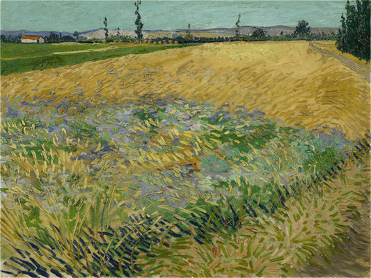 Vincent Willem van Gogh Hand painted Oil Painting Canvas Wall Art For Home Living Room #172