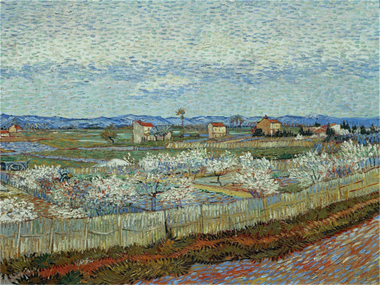 Vincent Willem van Gogh Hand painted Oil Painting Canvas Wall Art For Home Living Room #048