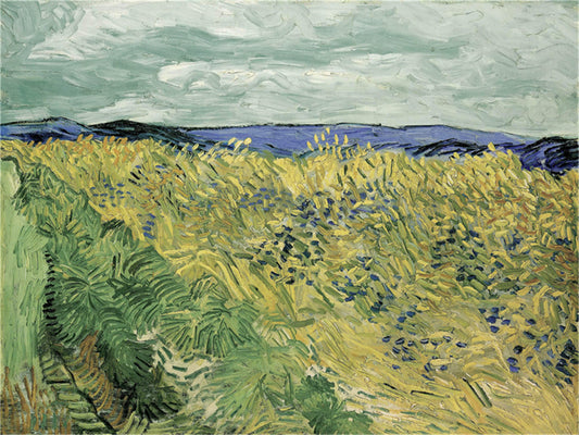 Vincent Willem van Gogh Hand painted Oil Painting Canvas Wall Art For Home Living Room #170