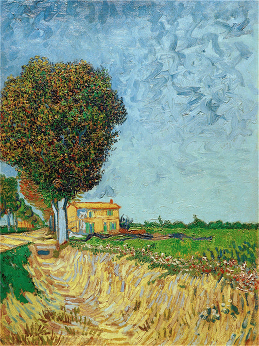 Vincent Willem van Gogh Hand painted Oil Painting Canvas Wall Art For Home Living Room #179