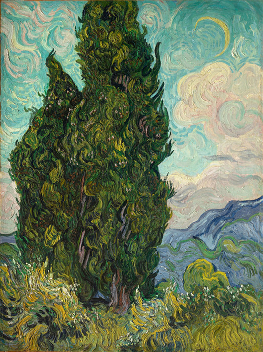 Vincent Willem van Gogh Hand painted Oil Painting Canvas Wall Art For Home Living Room #227