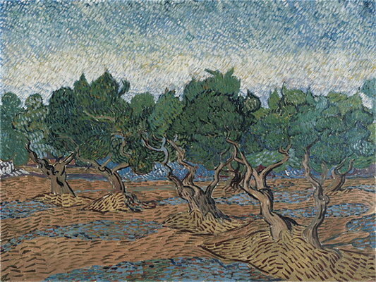 Vincent Willem van Gogh Hand painted Oil Painting Canvas Wall Art For Home Living Room #069