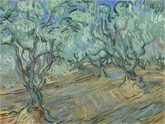 Vincent Willem van Gogh Hand painted Oil Painting Canvas Wall Art For Home Living Room #073