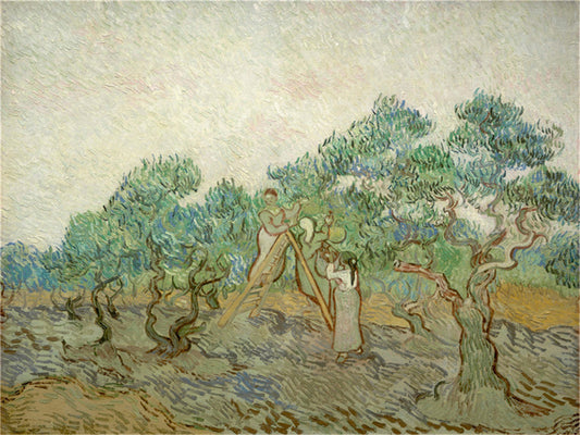 Vincent Willem van Gogh Hand painted Oil Painting Canvas Wall Art For Home Living Room #077