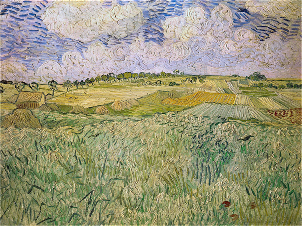 Vincent Willem van Gogh Hand painted Oil Painting Canvas Wall Art For Home Living Room #097