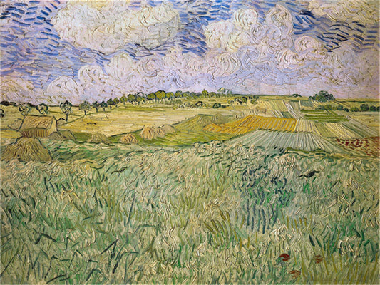 Vincent Willem van Gogh Hand painted Oil Painting Canvas Wall Art For Home Living Room #097