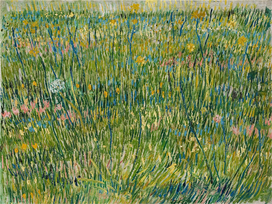 Vincent Willem van Gogh Hand painted Oil Painting Canvas Wall Art For Home Living Room #095