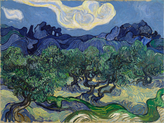Vincent Willem van Gogh Hand painted Oil Painting Canvas Wall Art For Home Living Room #084