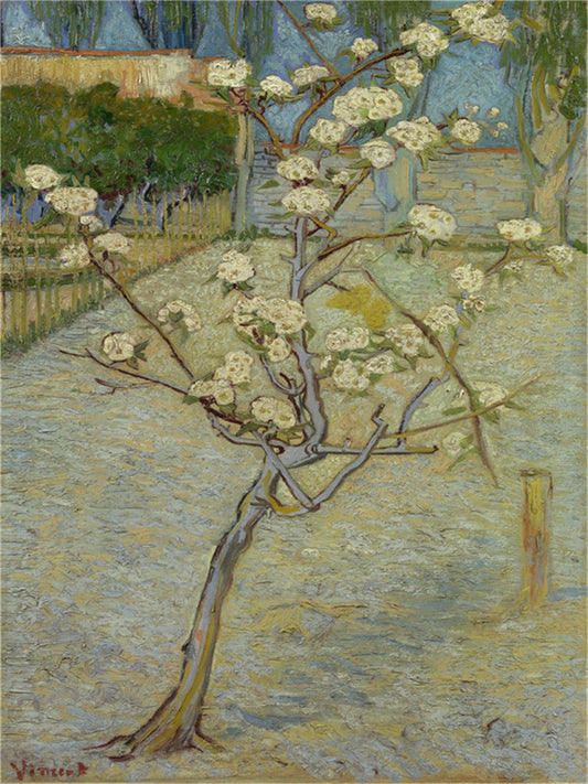 Vincent Willem van Gogh Hand painted Oil Painting Canvas Wall Art For Home Living Room #186