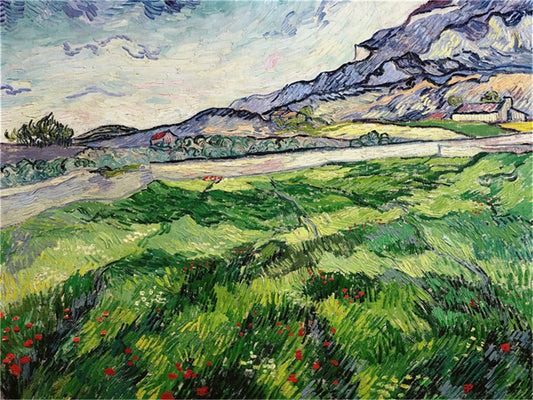 Vincent Willem van Gogh Hand painted Oil Painting Canvas Wall Art For Home Living Room #040