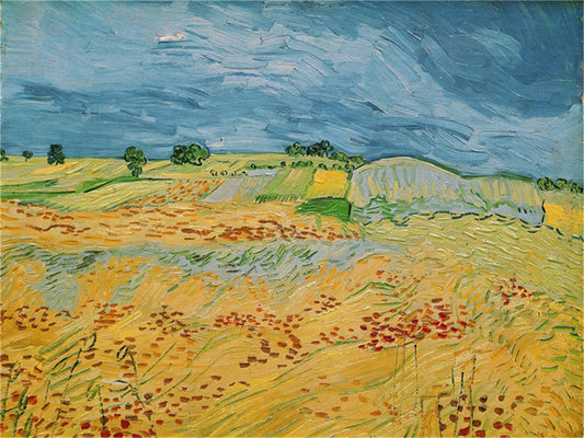 Vincent Willem van Gogh Hand painted Oil Painting Canvas Wall Art For Home Living Room #050