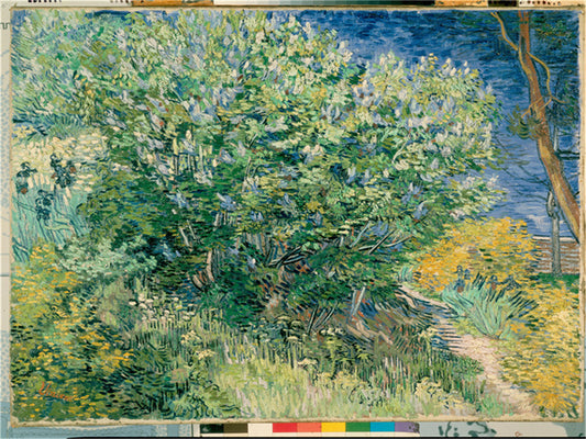 Vincent Willem van Gogh Hand painted Oil Painting Canvas Wall Art For Home Living Room #036