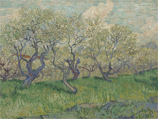 Vincent Willem van Gogh Hand painted Oil Painting Canvas Wall Art For Home Living Room #089