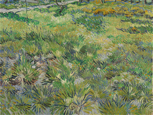 Vincent Willem van Gogh Hand painted Oil Painting Canvas Wall Art For Home Living Room #062