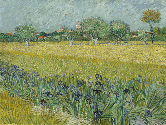 Vincent Willem van Gogh Hand painted Oil Painting Canvas Wall Art For Home Living Room #153