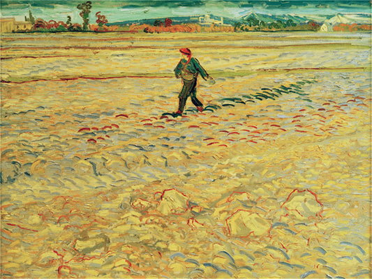 Vincent Willem van Gogh Hand painted Oil Painting Canvas Wall Art For Home Living Room #141