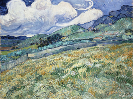 Vincent Willem van Gogh Hand painted Oil Painting Canvas Wall Art For Home Living Room #067
