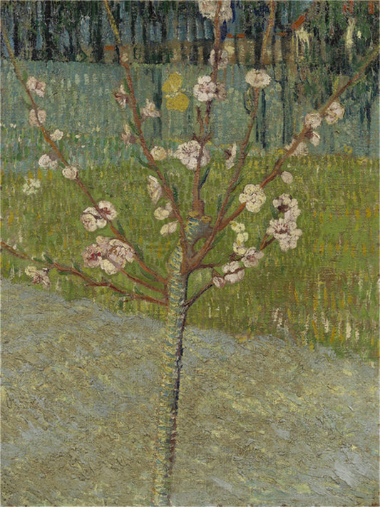 Vincent Willem van Gogh Hand painted Oil Painting Canvas Wall Art For Home Living Room #180