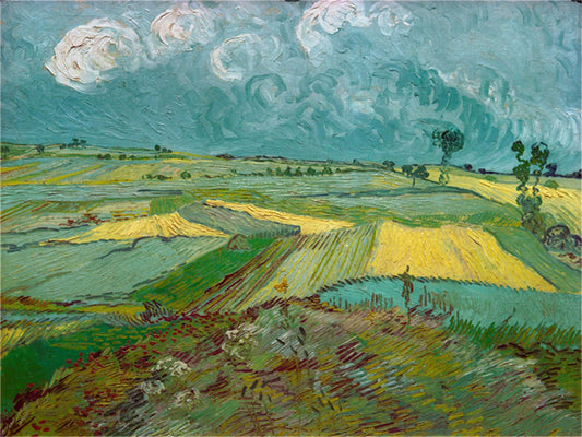 Vincent Willem van Gogh Hand painted Oil Painting Canvas Wall Art For Home Living Room #173