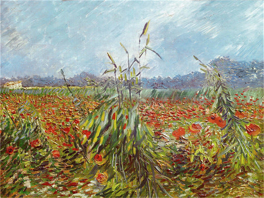 Vincent Willem van Gogh Hand painted Oil Painting Canvas Wall Art For Home Living Room #038