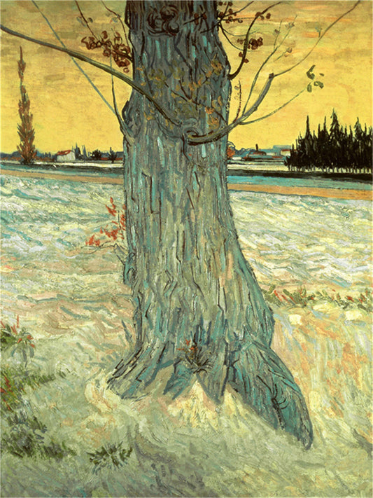 Vincent Willem van Gogh Hand painted Oil Painting Canvas Wall Art For Home Living Room #208
