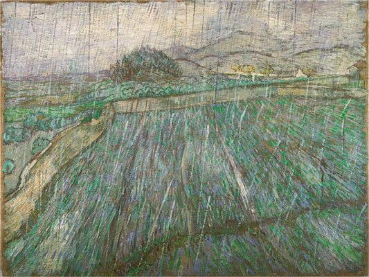 Vincent Willem van Gogh Hand painted Oil Painting Canvas Wall Art For Home Living Room #103