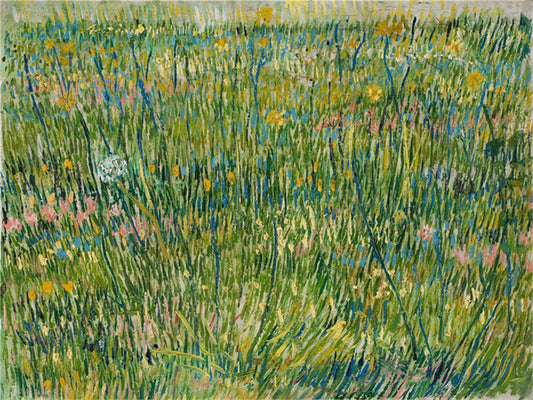 Vincent Willem van Gogh Hand painted Oil Painting Canvas Wall Art For Home Living Room #096