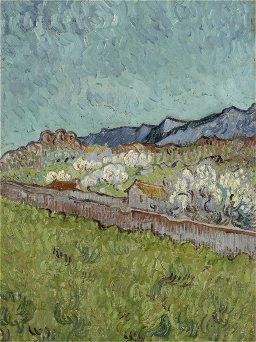 Vincent Willem van Gogh Hand painted Oil Painting Canvas Wall Art For Home Living Room #226