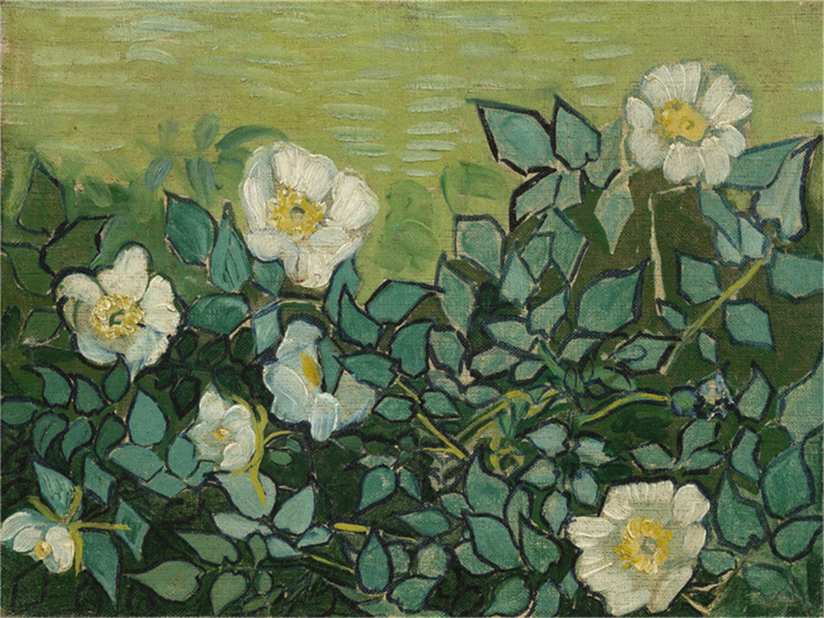 Vincent Willem van Gogh Hand painted Oil Painting Canvas Wall Art For Home Living Room #177