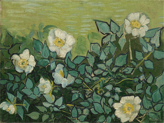 Vincent Willem van Gogh Hand painted Oil Painting Canvas Wall Art For Home Living Room #177