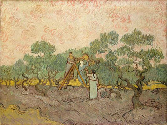 Vincent Willem van Gogh Hand painted Oil Painting Canvas Wall Art For Home Living Room #076