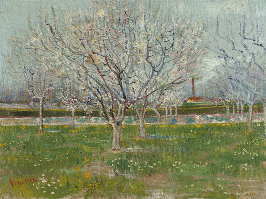 Vincent Willem van Gogh Hand painted Oil Painting Canvas Wall Art For Home Living Room #087