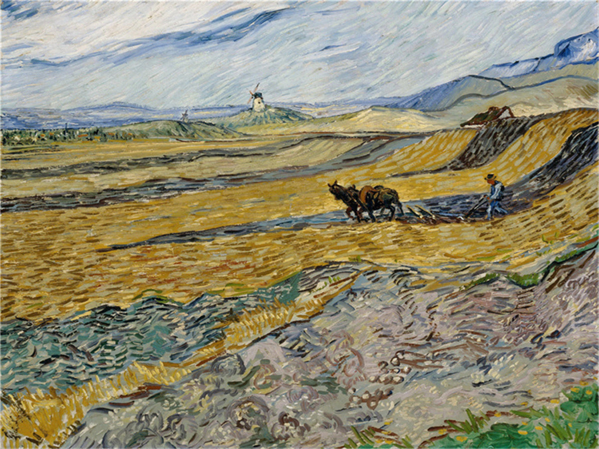 Vincent Willem van Gogh Hand painted Oil Painting Canvas Wall Art For Home Living Room #028