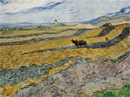 Vincent Willem van Gogh Hand painted Oil Painting Canvas Wall Art For Home Living Room #028