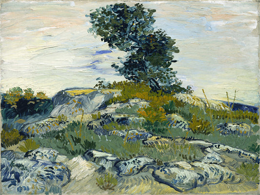 Vincent Willem van Gogh Hand painted Oil Painting Canvas Wall Art For Home Living Room #137
