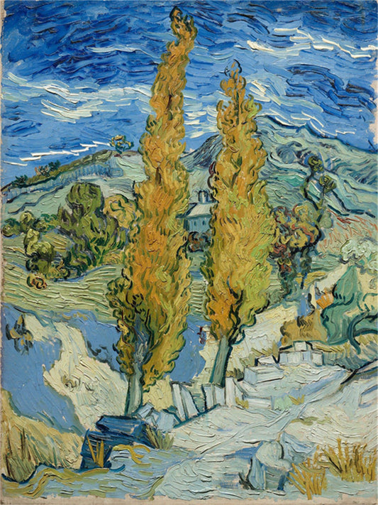 Vincent Willem van Gogh Hand painted Oil Painting Canvas Wall Art For Home Living Room #219