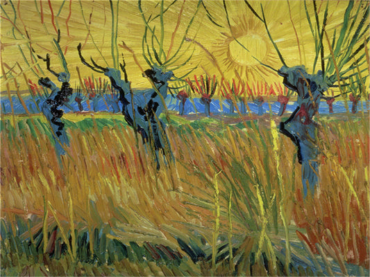 Vincent Willem van Gogh Hand painted Oil Painting Canvas Wall Art For Home Living Room #099